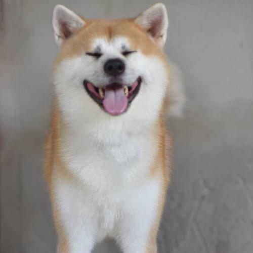 Little Engineer girl