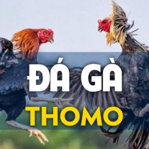 สมาชิกหมายเลข 8870760