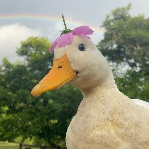 โอบฉันไว้ในอ้อมกอด