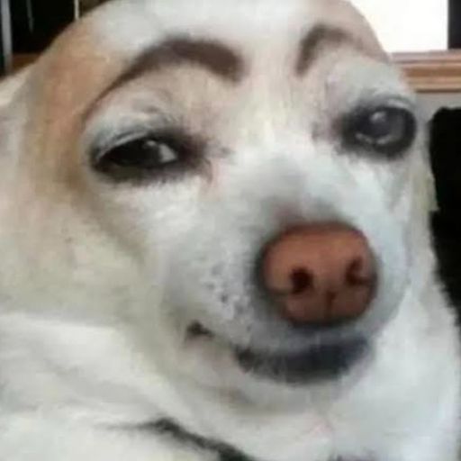 สมาชิกหมายเลข 7638133