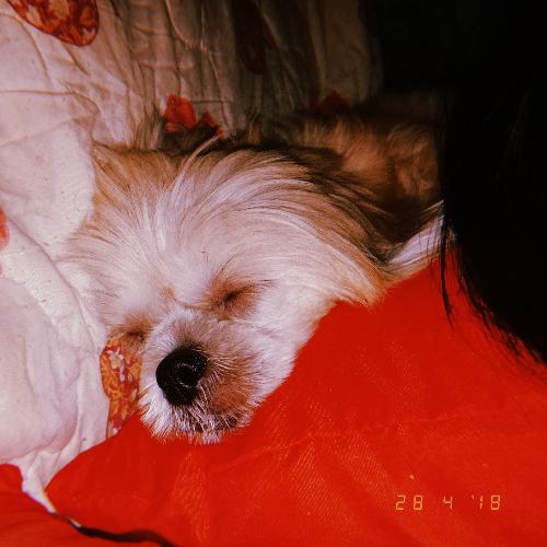 สมาชิกหมายเลข 4180706