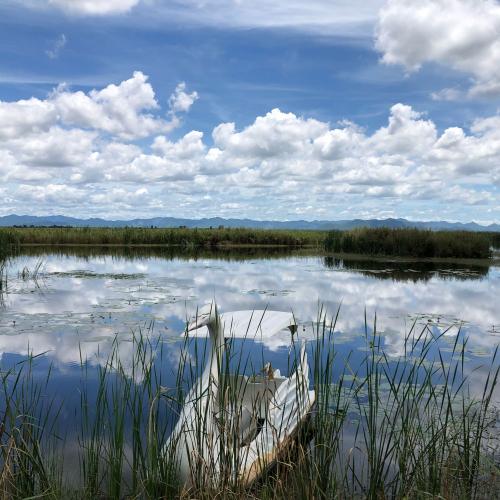 สมาชิกหมายเลข 4585339