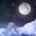 สมาชิกหมายเลข 4411061