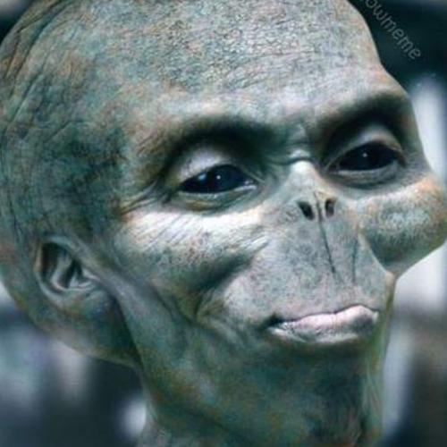 สมาชิกหมายเลข 4930192