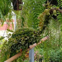 สมาชิกหมายเลข 5328910