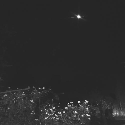 สมาชิกหมายเลข 5585294