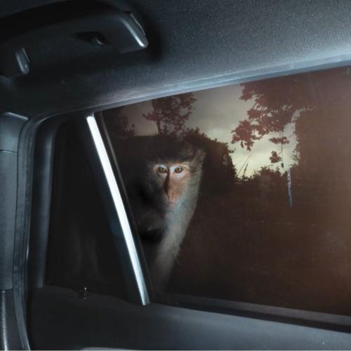 สมาชิกหมายเลข 5797313