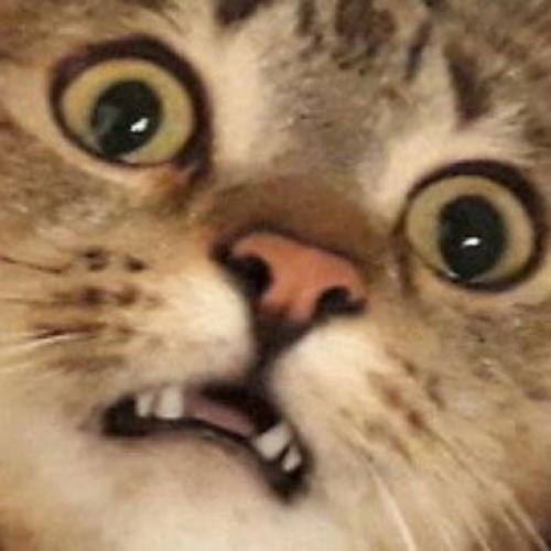 สมาชิกหมายเลข 3613125