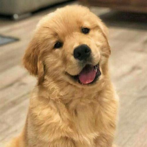 สมาชิกหมายเลข 3757046