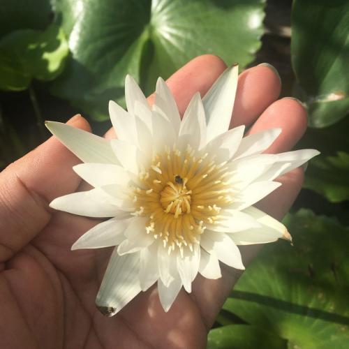 พี่ปลายแลนด์มาร์ค