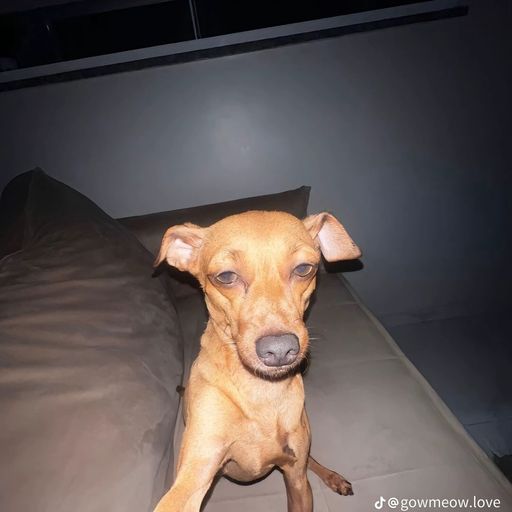 สมาชิกหมายเลข 8027107