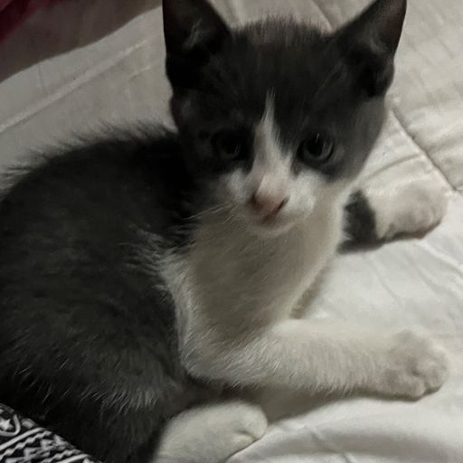 สมาชิกหมายเลข 9253671