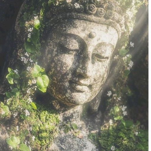 สมาชิกหมายเลข 9253912