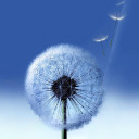 สมาชิกหมายเลข 2060422