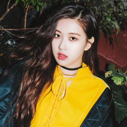 สมาชิกหมายเลข 2720309