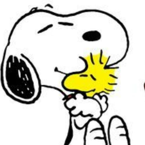 สมาชิกหมายเลข 1825589