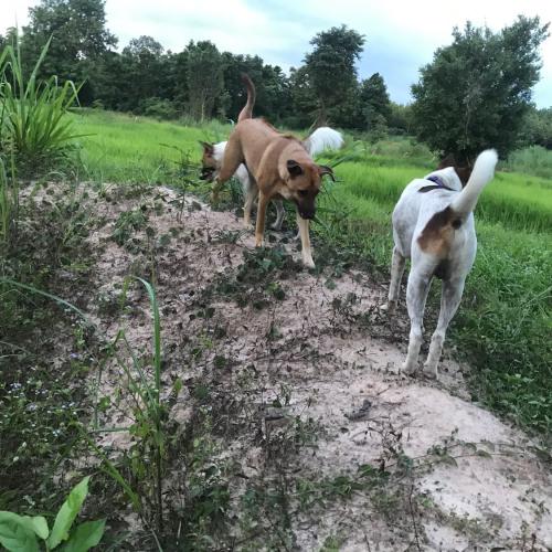 สมาชิกหมายเลข 6338234