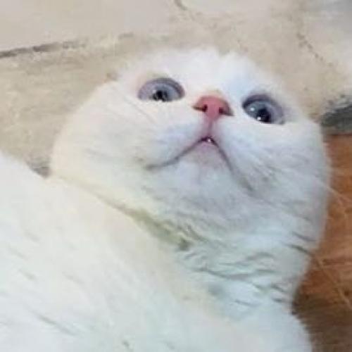 สมาชิกหมายเลข 6399501