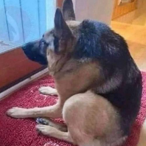 สมาชิกหมายเลข 5357467