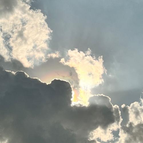 สมาชิกหมายเลข 8872438