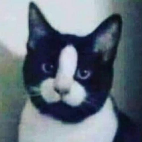 สมาชิกหมายเลข 8872902