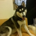 สมาชิกหมายเลข 3695497