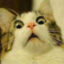 สมาชิกหมายเลข 3714422