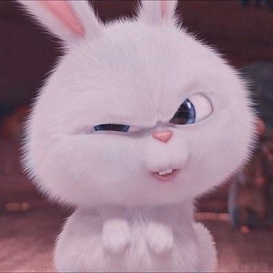 สมาชิกหมายเลข 7790490