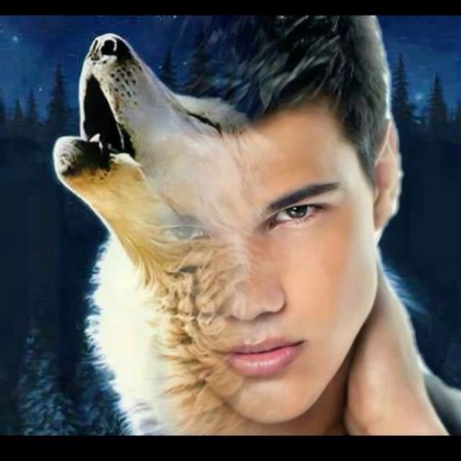 สมาชิกหมายเลข 8025451