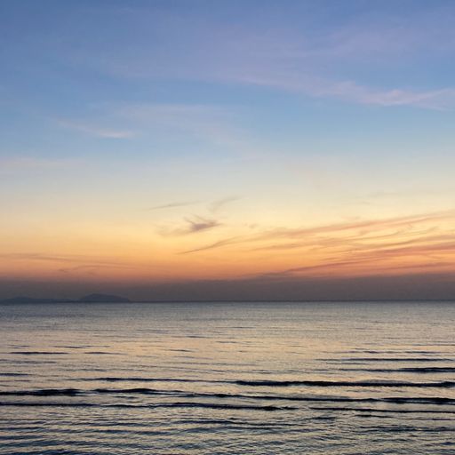 สมาชิกหมายเลข 9256151