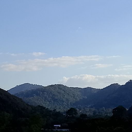 สมาชิกหมายเลข 9256247