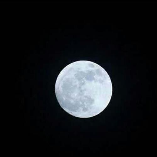 สมาชิกหมายเลข 4585876