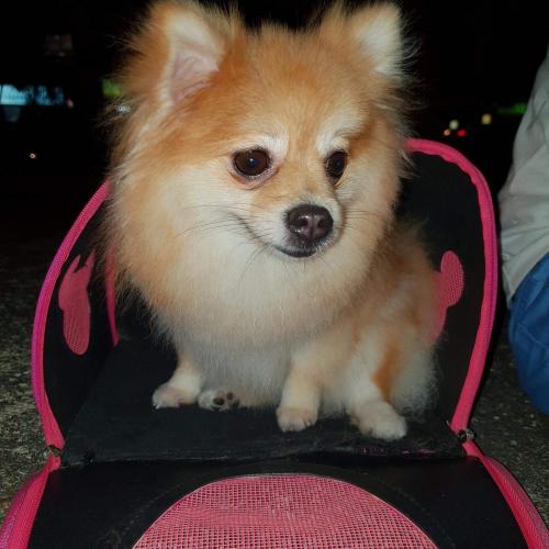 สมาชิกหมายเลข 4585932