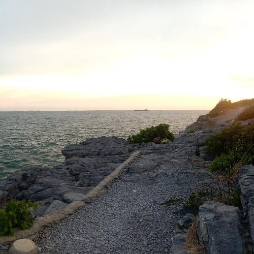 สมาชิกหมายเลข 4945526