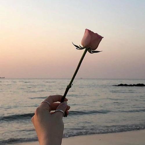 สมาชิกหมายเลข 4394294