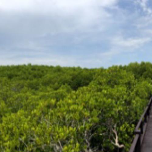 สมาชิกหมายเลข 1702584