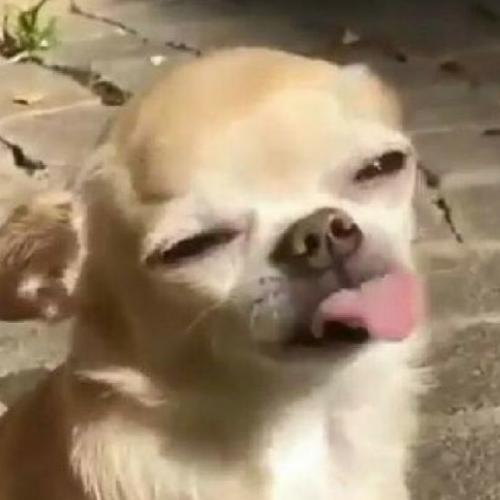 สมาชิกหมายเลข 6068161