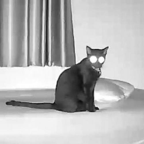 ไข้อยากหมูกระทะ