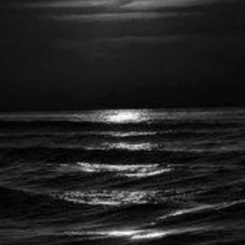 สมาชิกหมายเลข 5315166