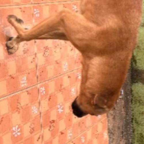 สมาชิกหมายเลข 8618351