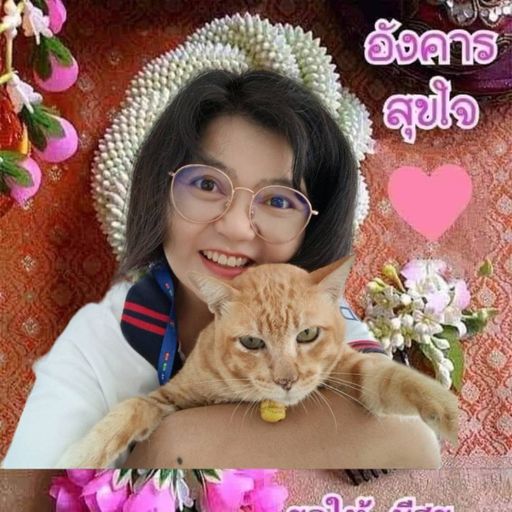 สมาชิกหมายเลข 3538450