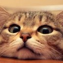 สมาชิกหมายเลข 4180162