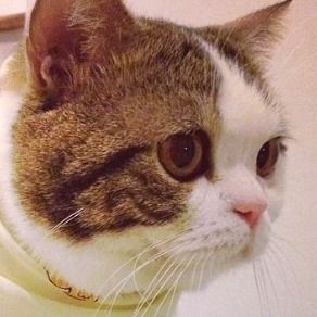 ขวัญชมพู