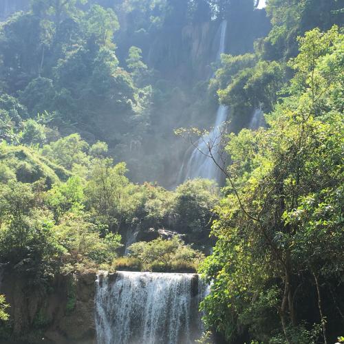 สมาชิกหมายเลข 4585967