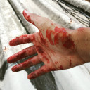 สมาชิกหมายเลข 4586133