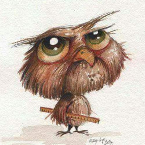 สมาชิกหมายเลข 4931271