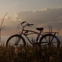 สมาชิกหมายเลข 2785064