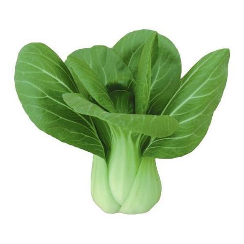 สมาชิกหมายเลข 5278207