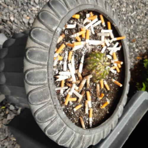 สมาชิกหมายเลข 6400907