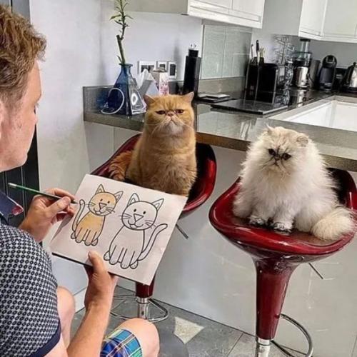 สมาชิกหมายเลข 7081133